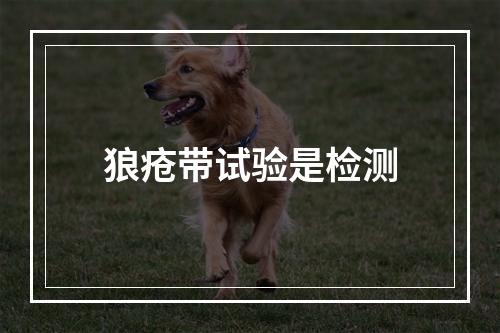 狼疮带试验是检测