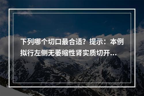 下列哪个切口最合适？提示：本例拟行左侧无萎缩性肾实质切开取石