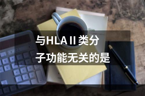 与HLAⅡ类分子功能无关的是