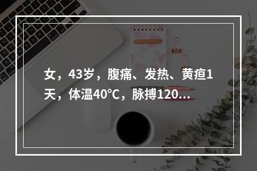 女，43岁，腹痛、发热、黄疸1天，体温40℃，脉搏120次