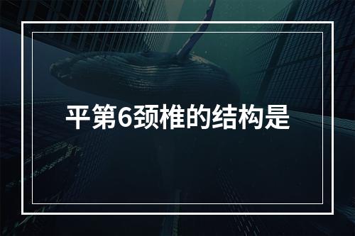 平第6颈椎的结构是