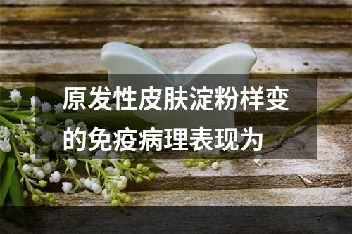 原发性皮肤淀粉样变的免疫病理表现为