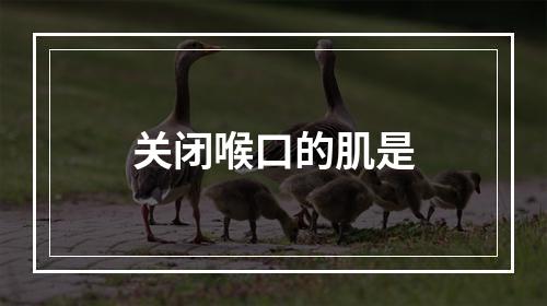 关闭喉口的肌是