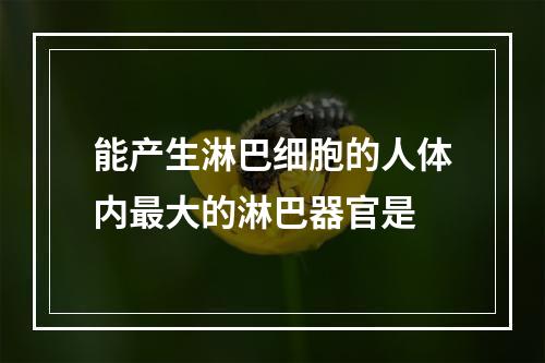 能产生淋巴细胞的人体内最大的淋巴器官是