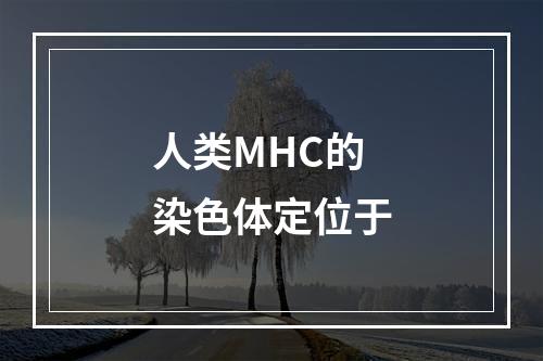 人类MHC的染色体定位于