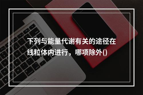 下列与能量代谢有关的途径在线粒体内进行，哪项除外()