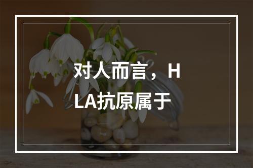 对人而言，HLA抗原属于