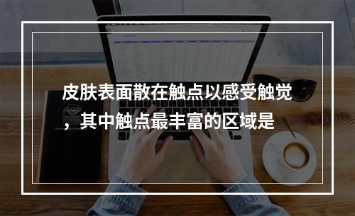 皮肤表面散在触点以感受触觉，其中触点最丰富的区域是