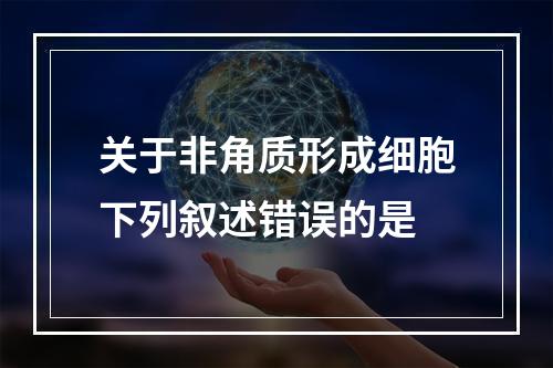 关于非角质形成细胞下列叙述错误的是