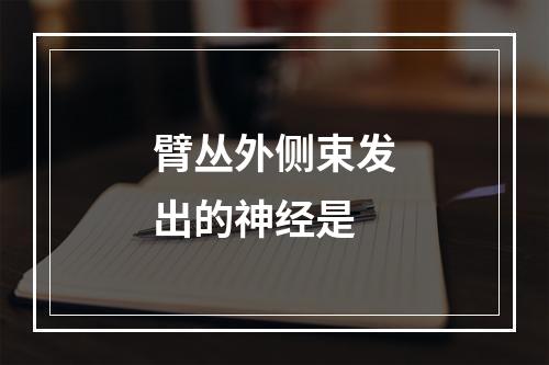 臂丛外侧束发出的神经是