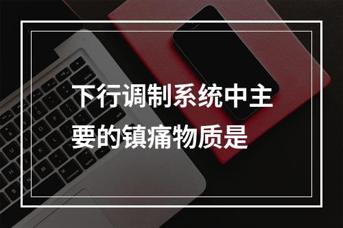 下行调制系统中主要的镇痛物质是