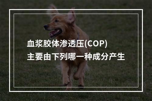 血浆胶体渗透压(COP)主要由下列哪一种成分产生