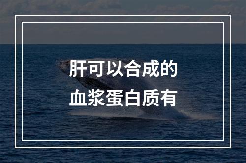 肝可以合成的血浆蛋白质有