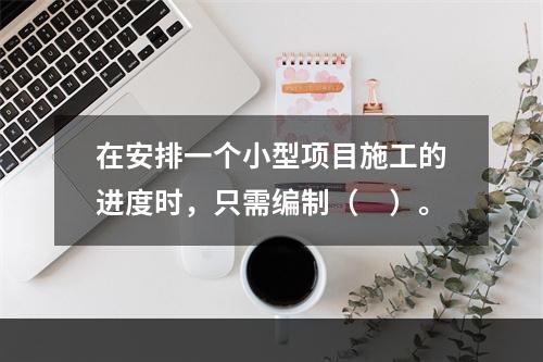 在安排一个小型项目施工的进度时，只需编制（　）。