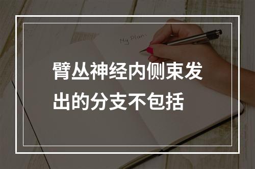 臂丛神经内侧束发出的分支不包括