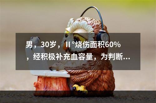 男，30岁，Ⅱ°烧伤面积60%，经积极补充血容量，为判断其休