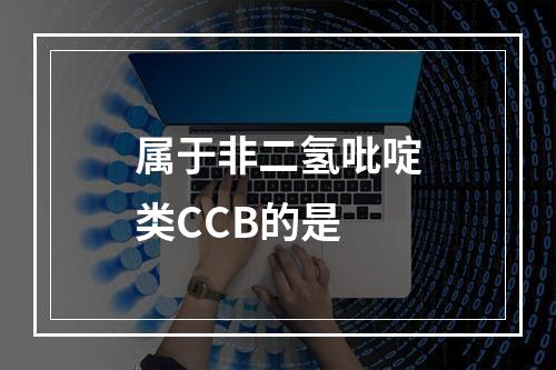 属于非二氢吡啶类CCB的是