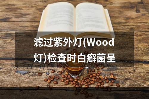 滤过紫外灯(Wood灯)检查时白癣菌呈