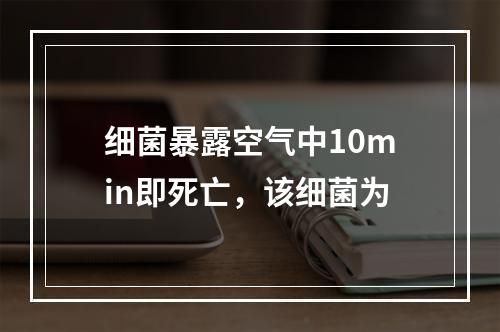 细菌暴露空气中10min即死亡，该细菌为