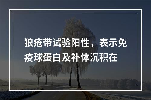 狼疮带试验阳性，表示免疫球蛋白及补体沉积在