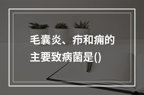 毛囊炎、疖和痈的主要致病菌是()