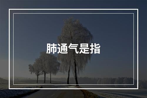 肺通气是指