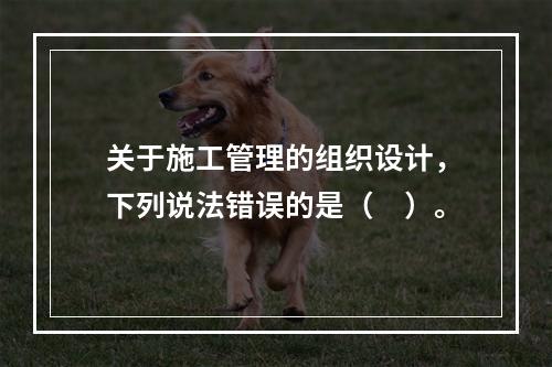 关于施工管理的组织设计，下列说法错误的是（　）。