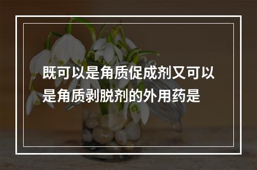 既可以是角质促成剂又可以是角质剥脱剂的外用药是