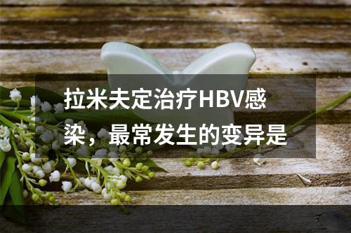 拉米夫定治疗HBV感染，最常发生的变异是