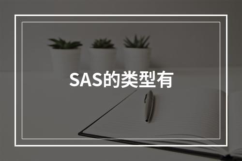 SAS的类型有