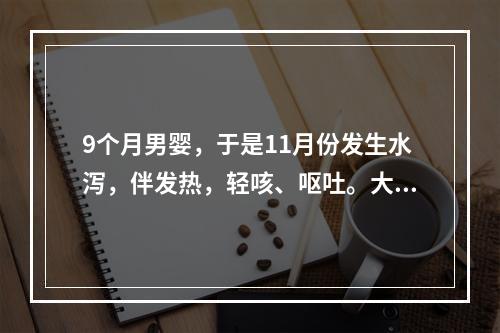 9个月男婴，于是11月份发生水泻，伴发热，轻咳、呕吐。大便镜