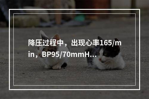 降压过程中，出现心率165/min，BP95/70mmHg，