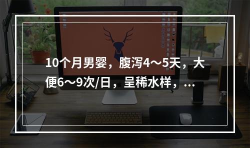 10个月男婴，腹泻4～5天，大便6～9次/日，呈稀水样，伴呕