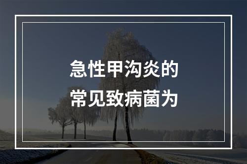 急性甲沟炎的常见致病菌为