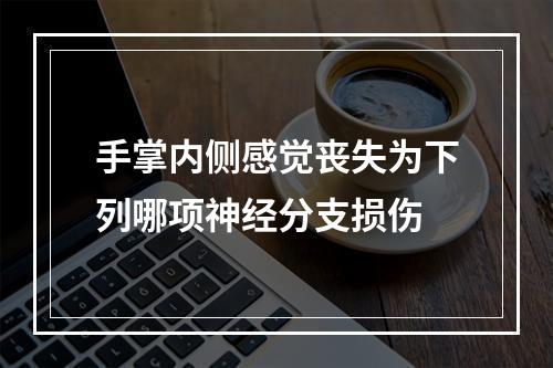 手掌内侧感觉丧失为下列哪项神经分支损伤