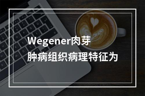 Wegener肉芽肿病组织病理特征为