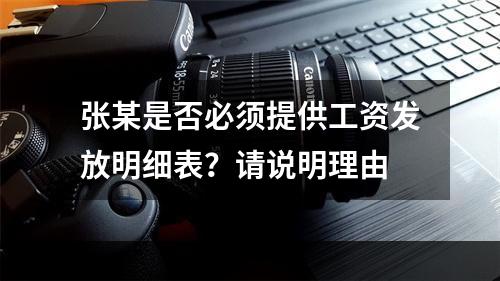 张某是否必须提供工资发放明细表？请说明理由