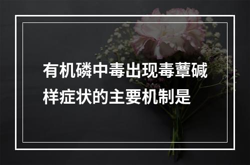 有机磷中毒出现毒蕈碱样症状的主要机制是