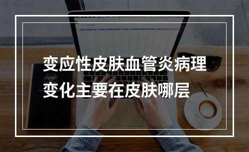 变应性皮肤血管炎病理变化主要在皮肤哪层