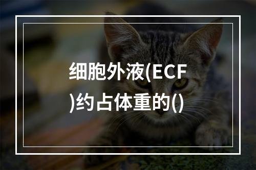 细胞外液(ECF)约占体重的()