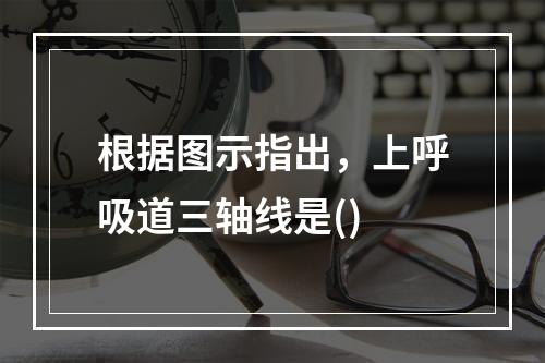 根据图示指出，上呼吸道三轴线是()