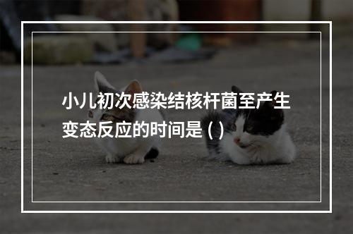 小儿初次感染结核杆菌至产生变态反应的时间是 ( )