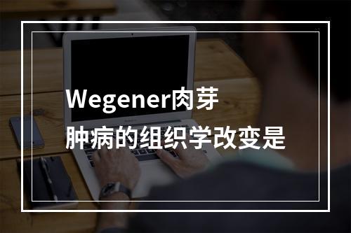 Wegener肉芽肿病的组织学改变是