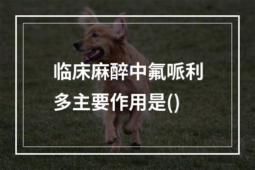 临床麻醉中氟哌利多主要作用是()