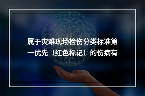 属于灾难现场检伤分类标准第一优先（红色标记）的伤病有