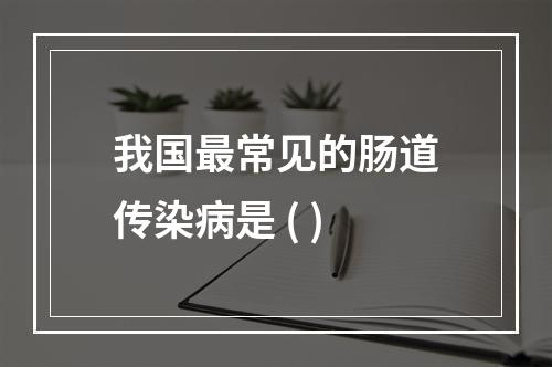 我国最常见的肠道传染病是 ( )