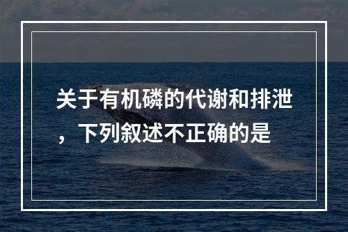 关于有机磷的代谢和排泄，下列叙述不正确的是