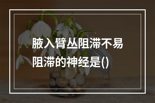 腋入臂丛阻滞不易阻滞的神经是()