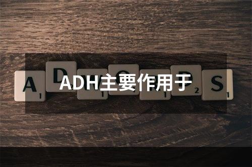 ADH主要作用于