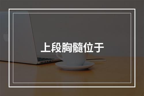 上段胸髓位于